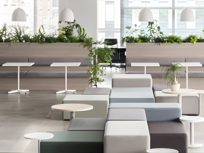 日本法人「アンカー・ジャパン株式会社」の役割